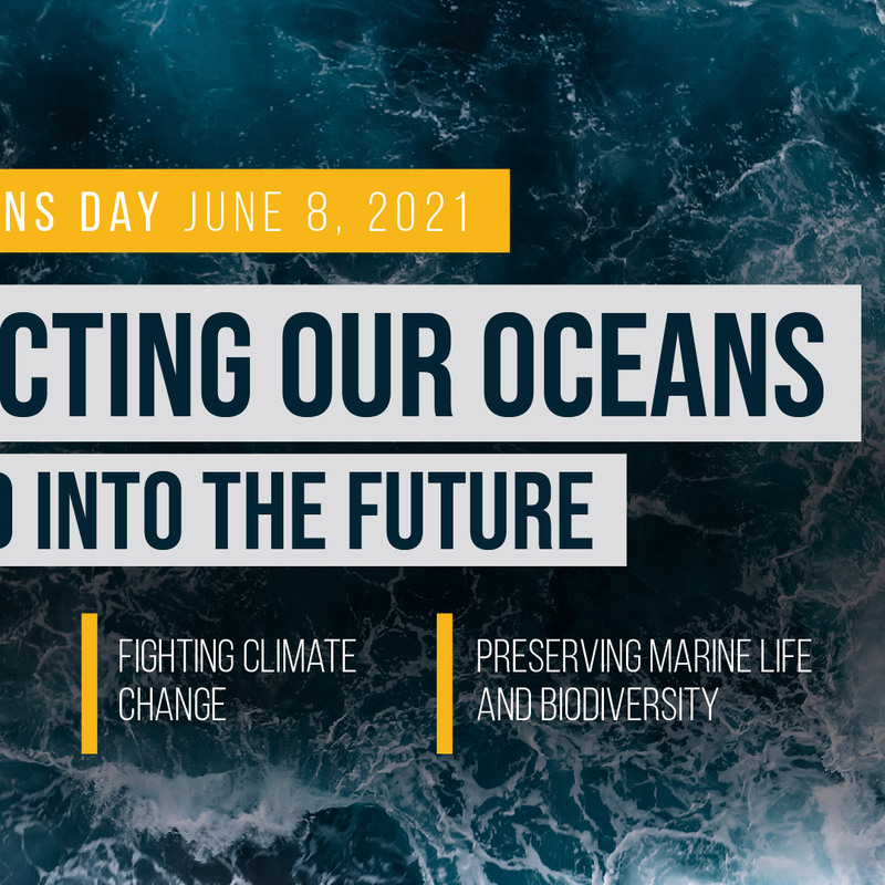 Social Media Graphic - World Ocean Day