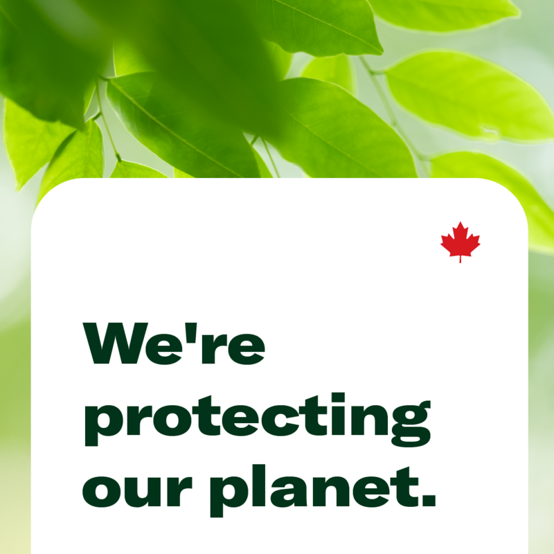 Social Media Graphic - Greener Planet